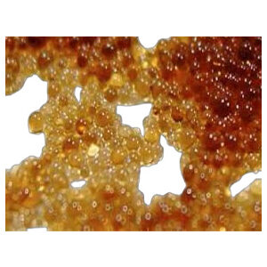 Billes sphériques jaunes claires à brunes de résine échangeuse de cations